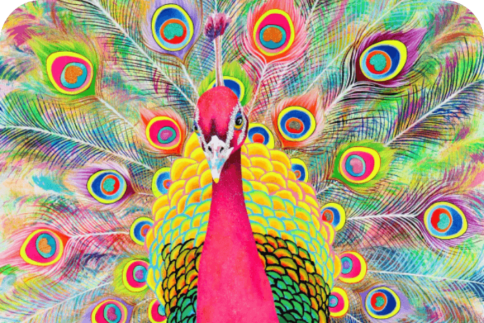 熊本出身アーティスト Fujiyoshi Brother’s「ANIMAL WONDERLAND」
