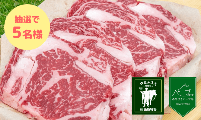 賞品イメージ