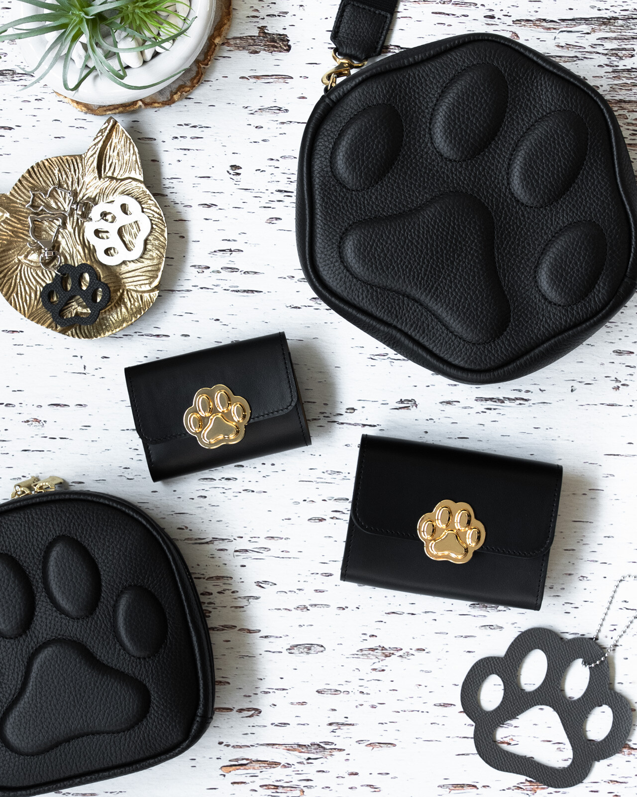 【Cats of Philosophii 】POPUP