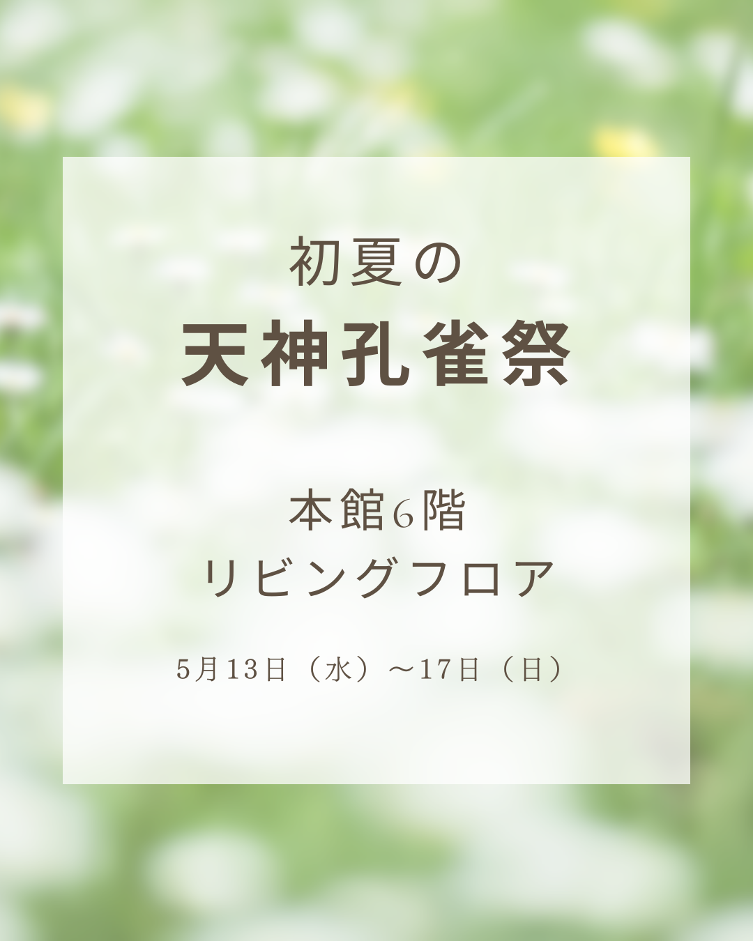 ꧁ 初夏の孔雀祭꧂本館6階 リビングフロア　商品情報！！