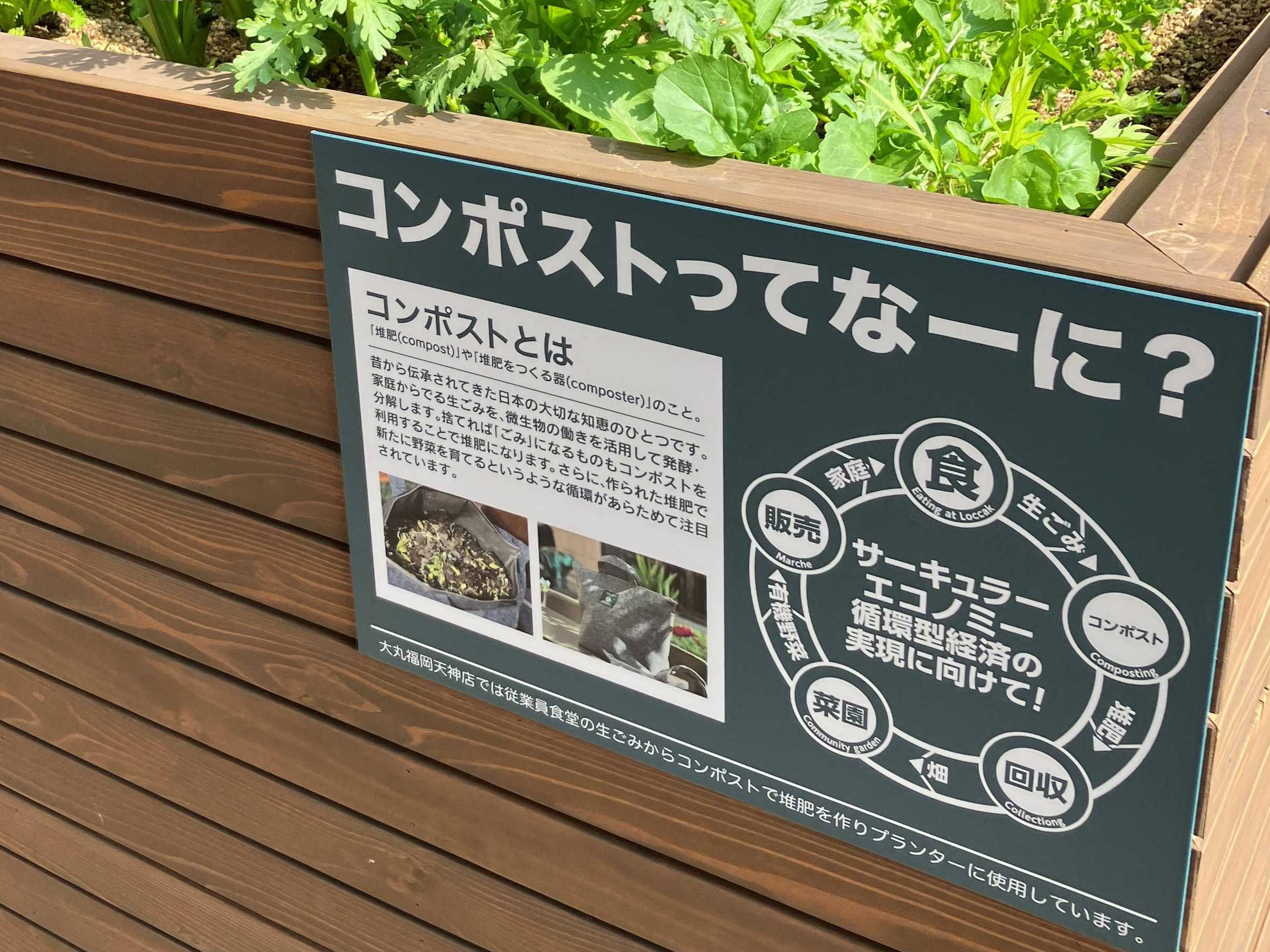 ゼロハナプロジェクト・天神LFCの皆さんと共同栽培をスタートしました
