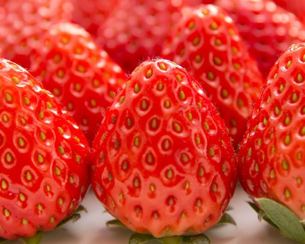 いちごのスイーツ祭り🍓🍓🧺😋