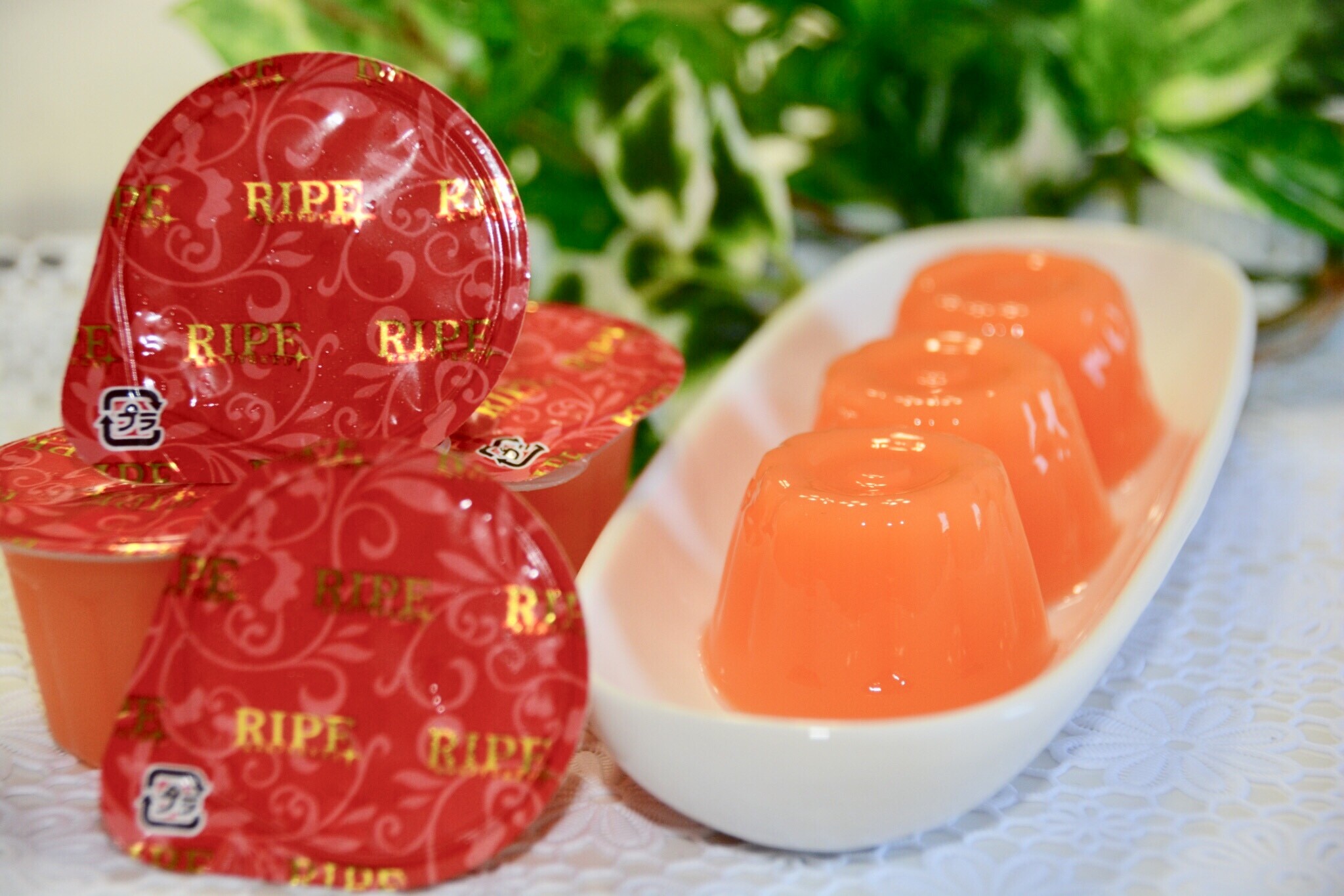 【RIPE】メロンプリン