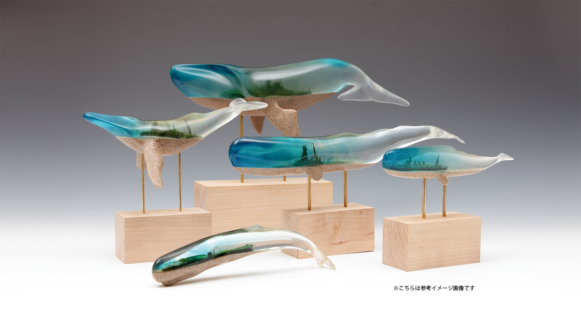 『WHALE MIGRATION Return to origin　山田勇魚 作品展』開催中！！