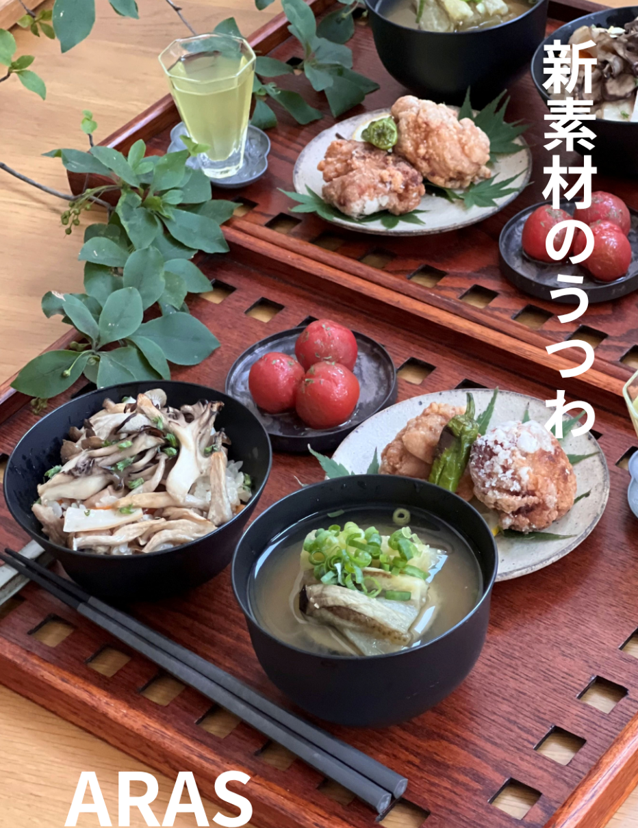 割れないお皿?!『ARAS』