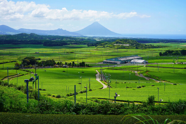 【鹿児島県魅力発信マルシェinパサージュ広場】南九州市