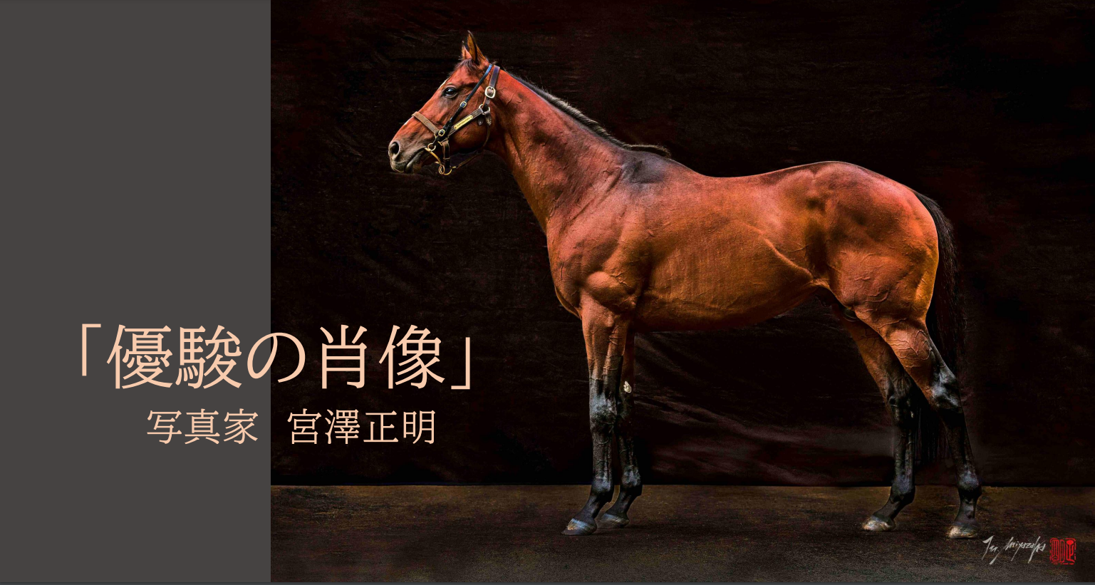 優駿の肖像