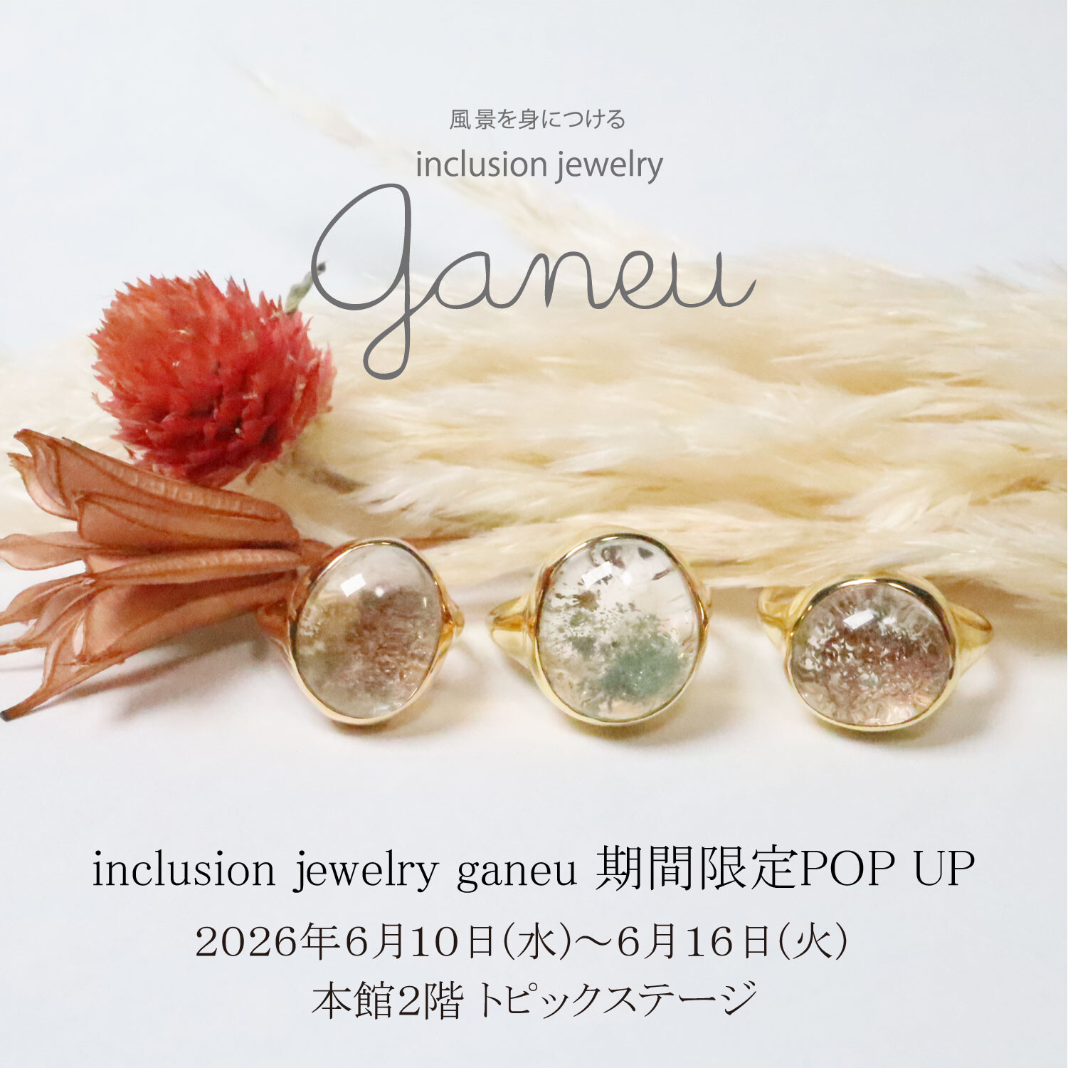 【inclusion jewelry ganeu】期間限定POPUP