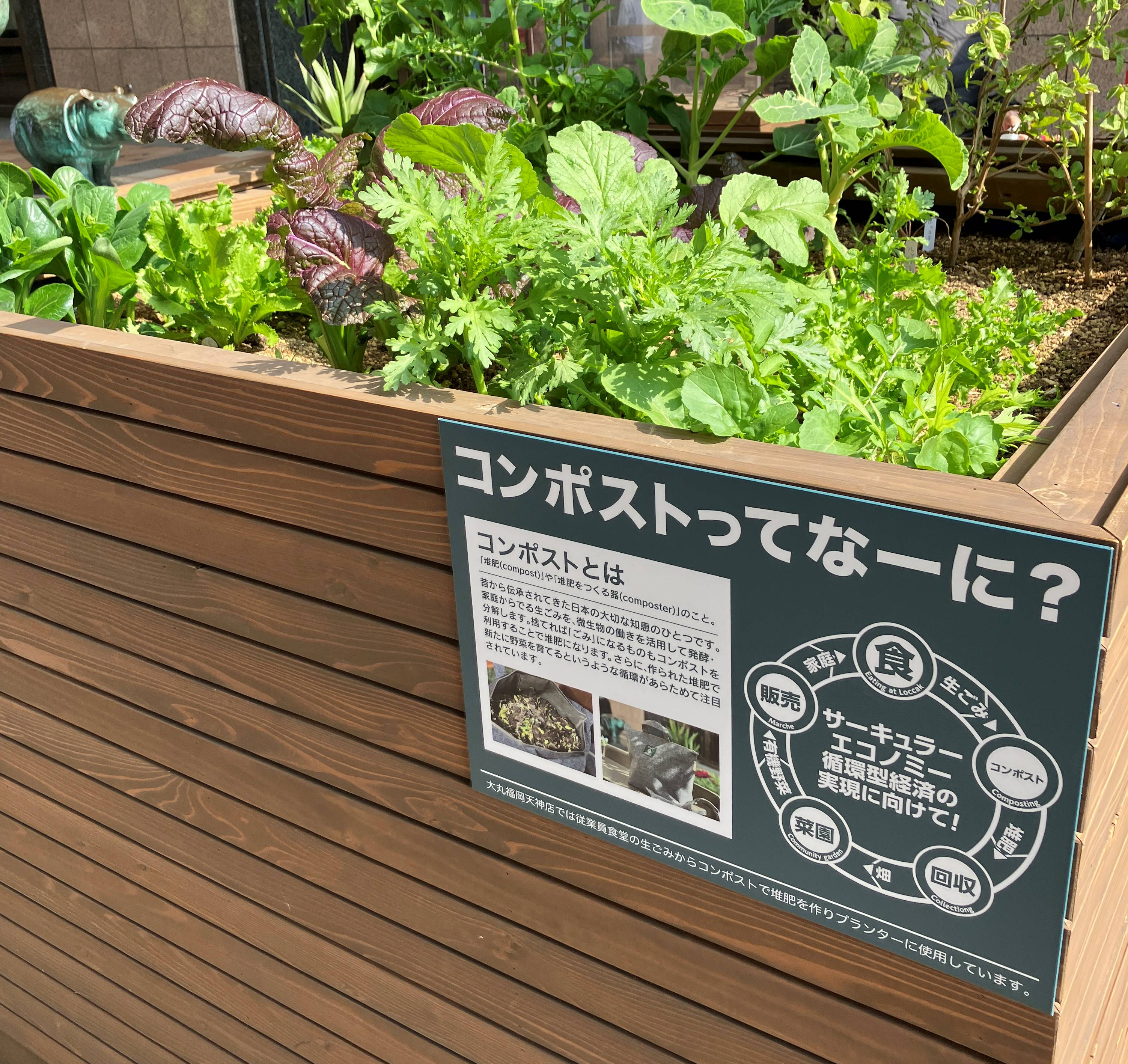 天神コンポストコミュニティガーデン活動報告🌱