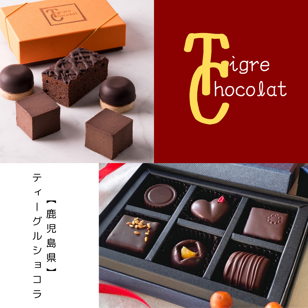【Tigre Chocolat】チョコレートケーキテイスティングセット・ボンボンショコラ
