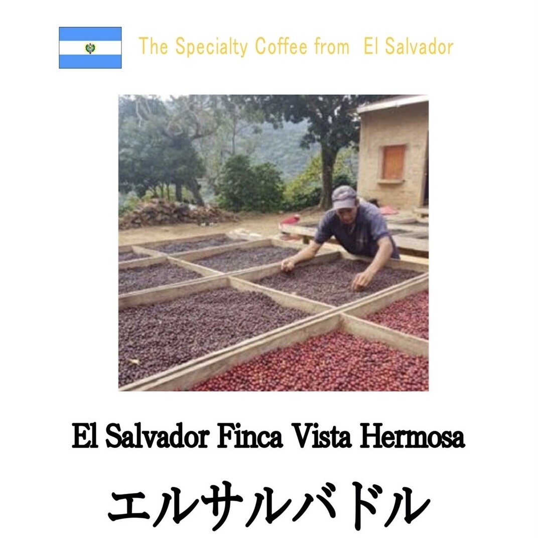 マンスリーコーヒーのご案内☕️🇸🇻
