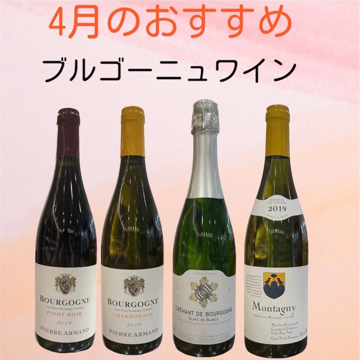 《4月のおすすめ》ブルゴーニュワイン🍷