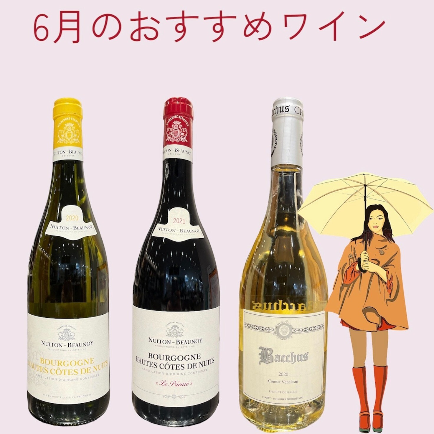 6月のおすすめワイン✨🍷