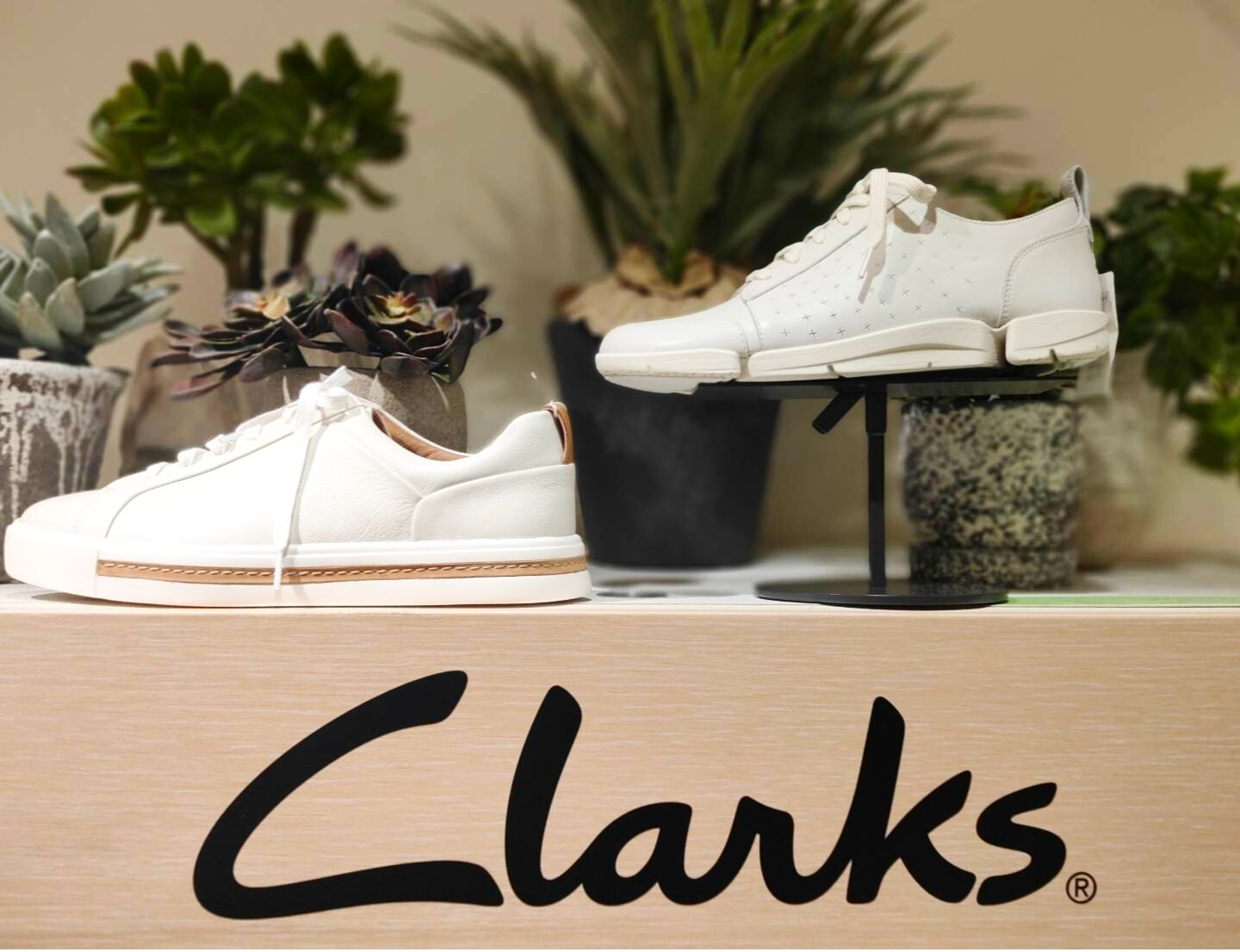 Clarks 人気No.1スニーカー❗