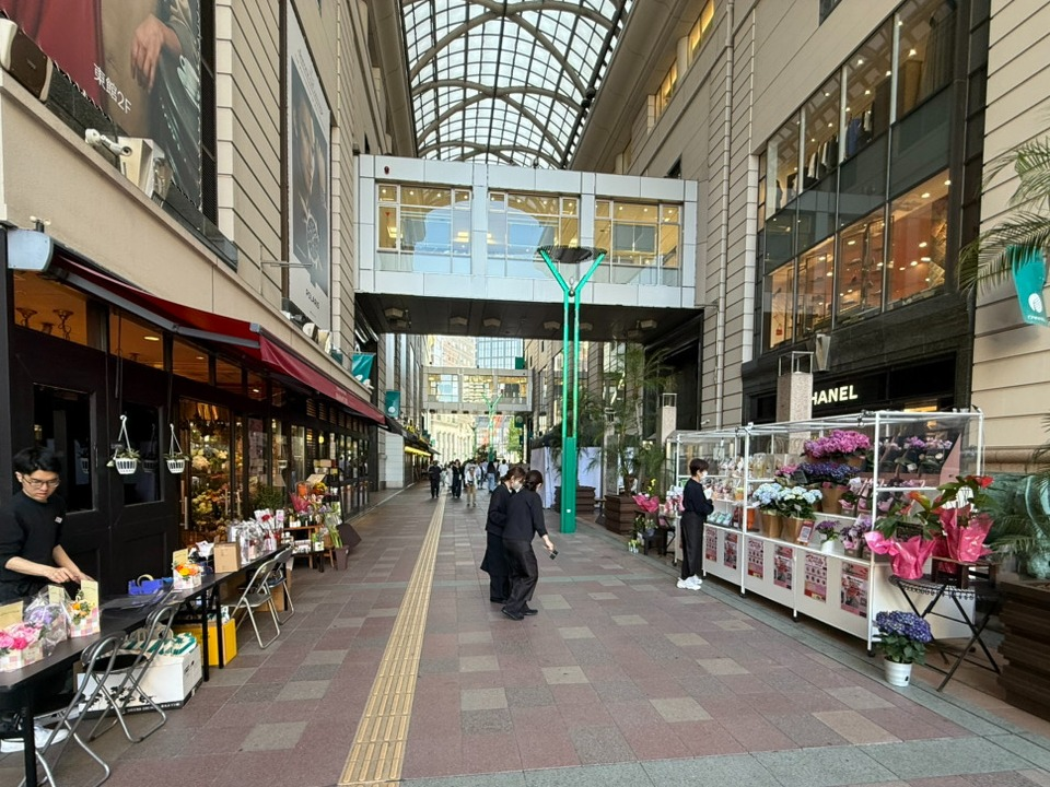 本格的❣️母の日ウィーク始まりました〜✨