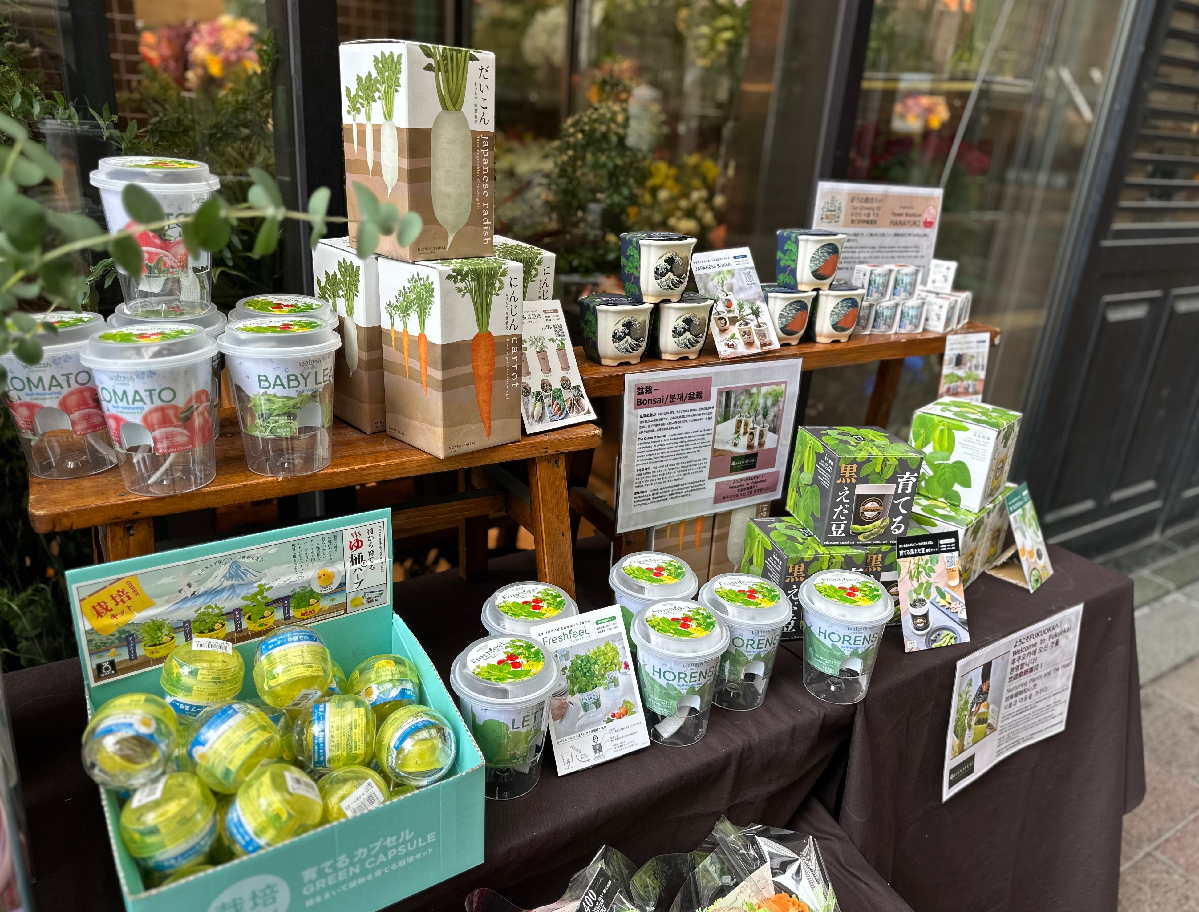🌿 育てる喜び、心を育む。特別な栽培キットが登場！ 🌱