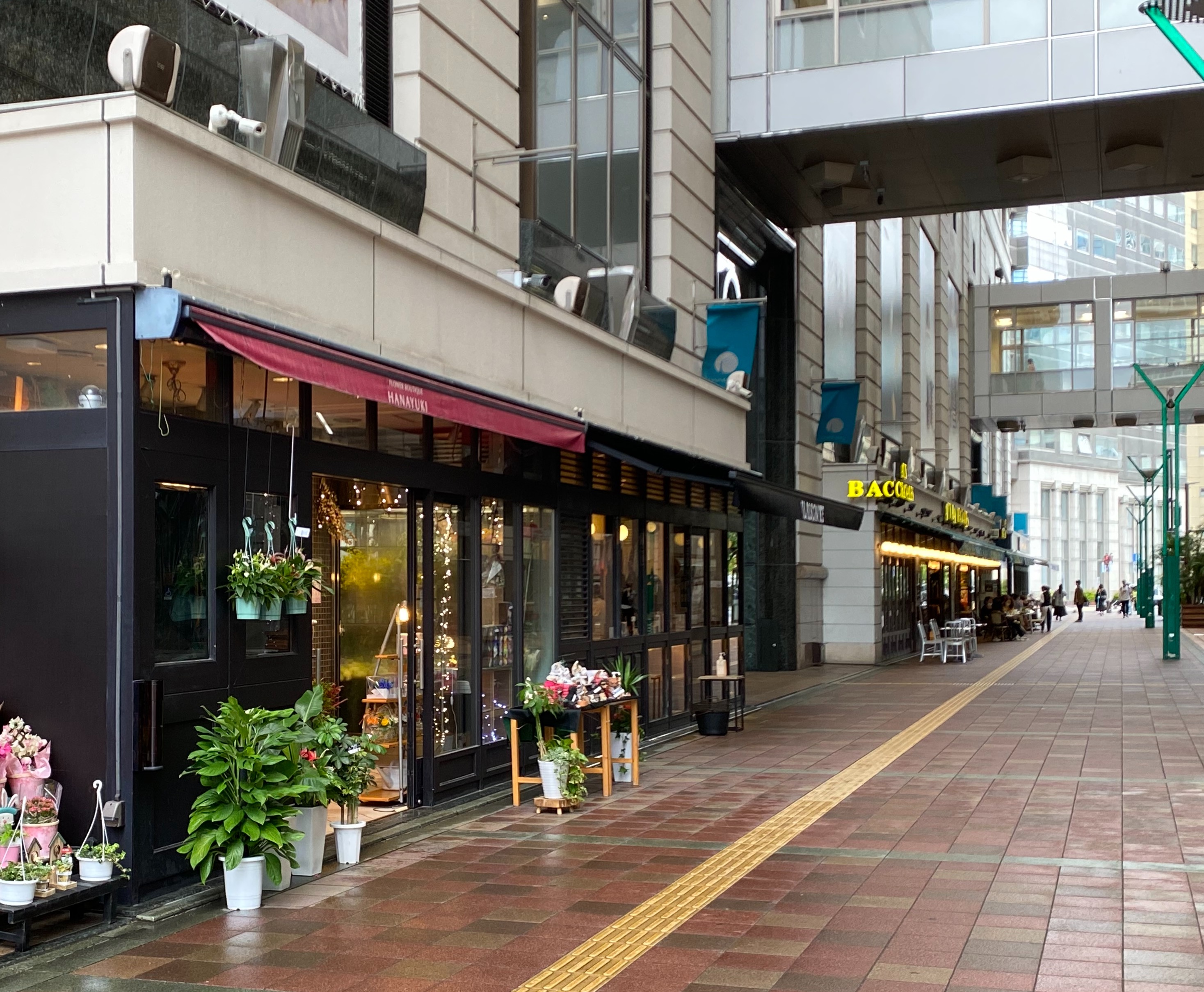 多肉植物 入りました 花ユキ ショップブログ 大丸福岡天神店