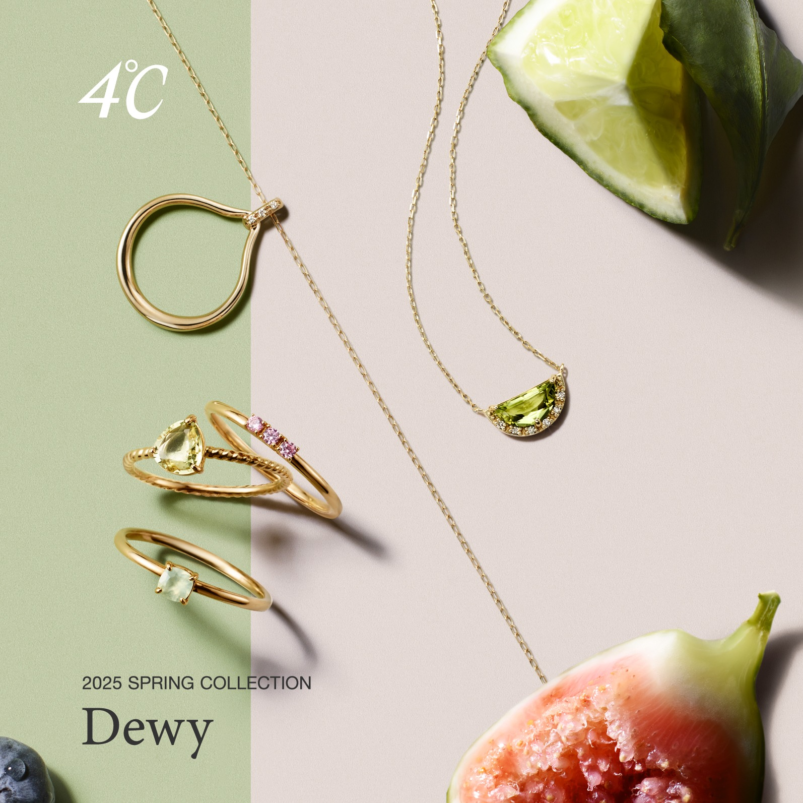 【4℃】Spring Collection