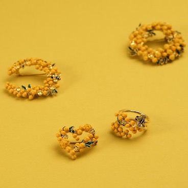 2026ミモザコレクション✨