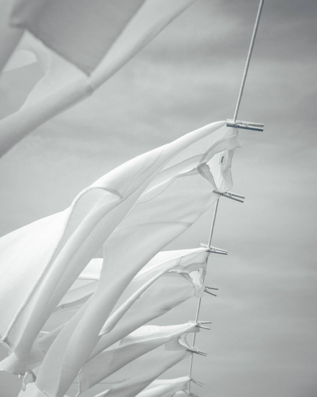 プランテーション【3月の新作商品】