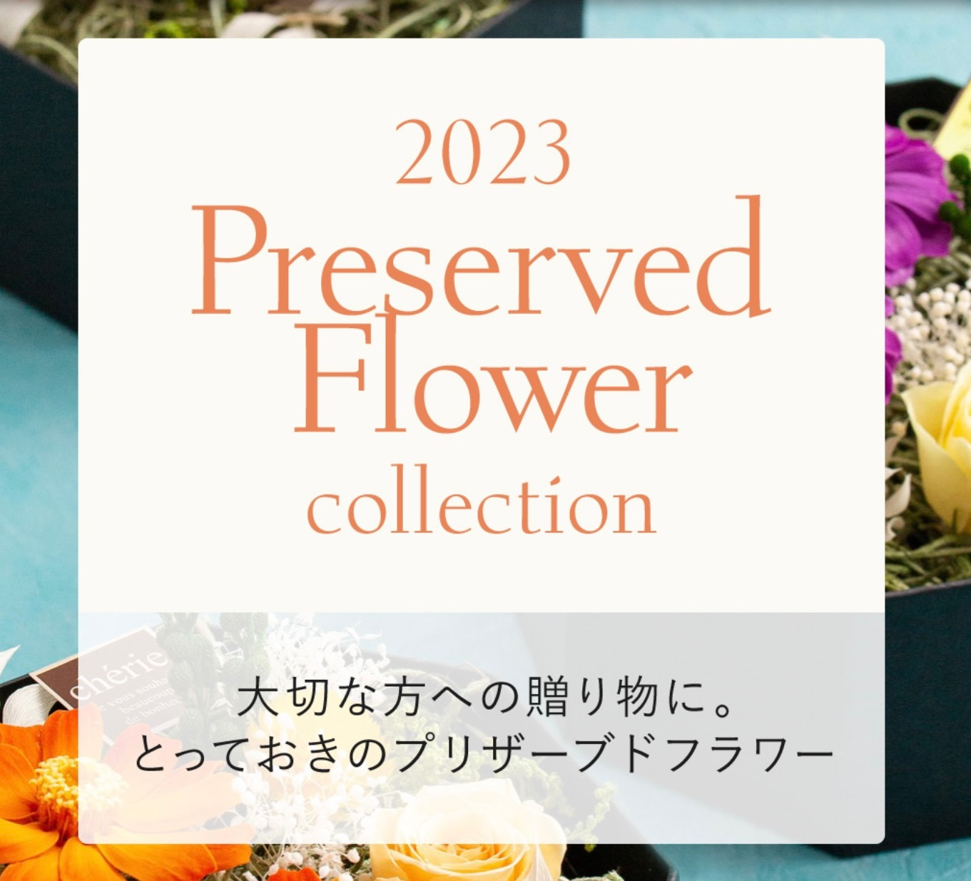 2023・パレフローラ　ギフトフェア　Spring Collection