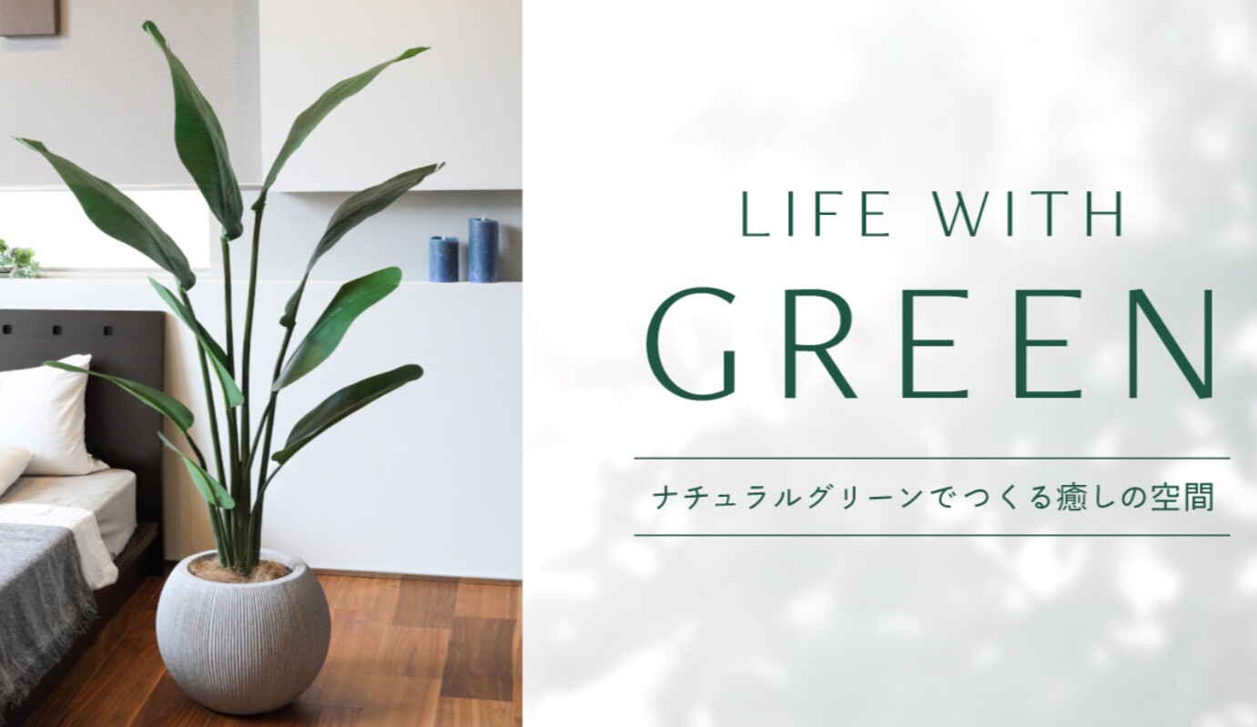 2024  グリーンフェア開催🌿　5/25(土)〜6/9(日)
