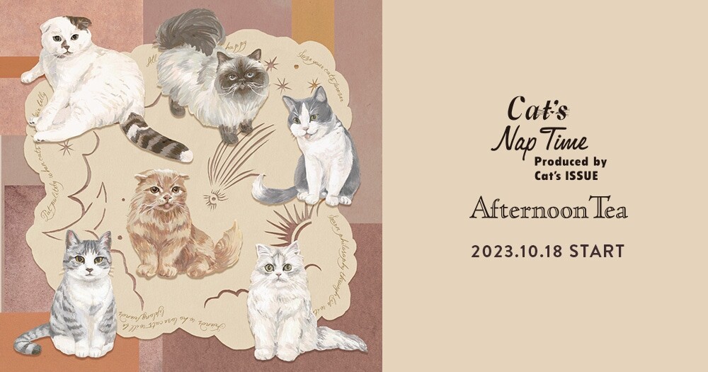 10月18日 Cat's Nap Timeシリーズ 発売！ | アフタヌーンティー