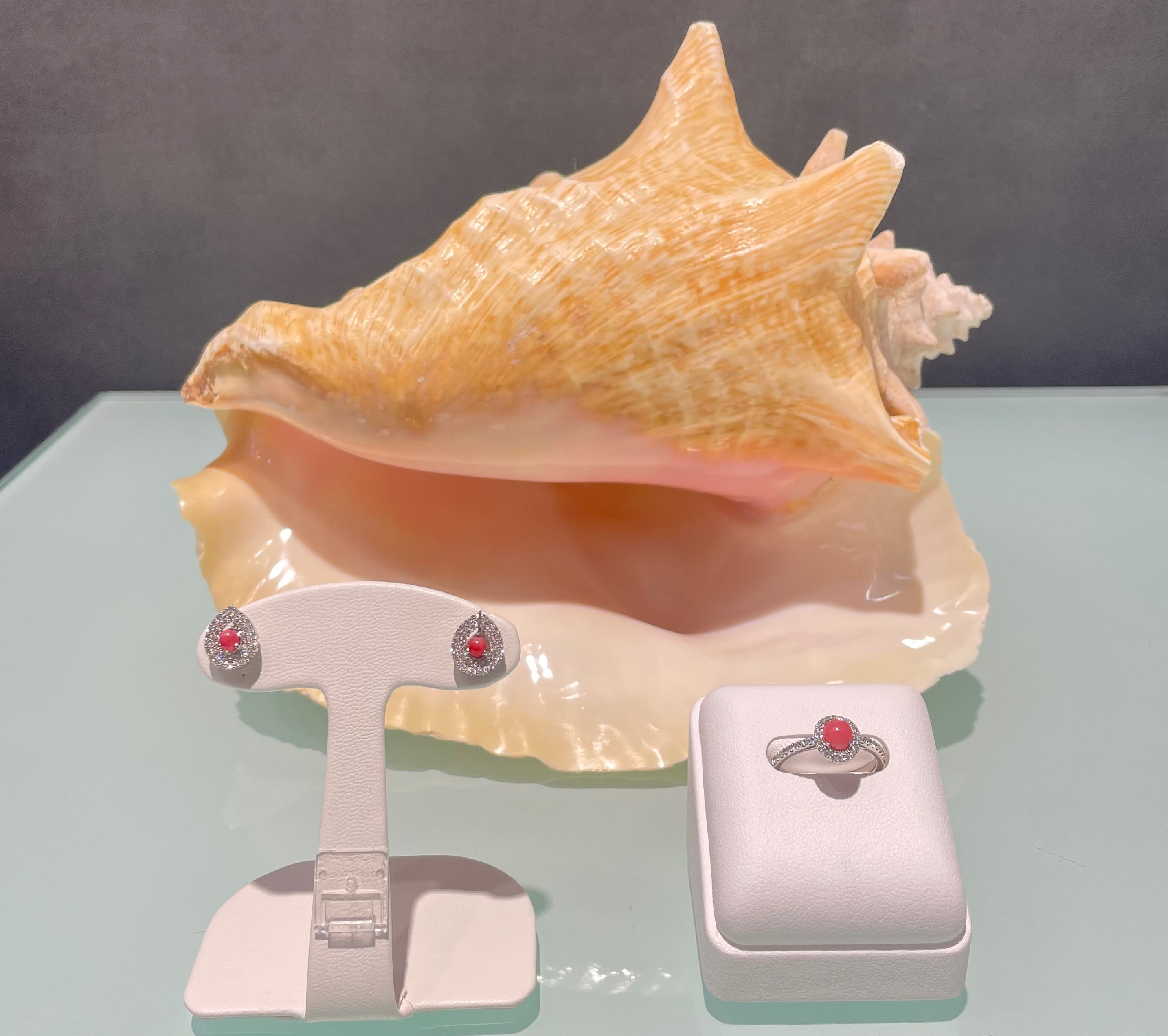 コンクパールの商品紹介の件🐚