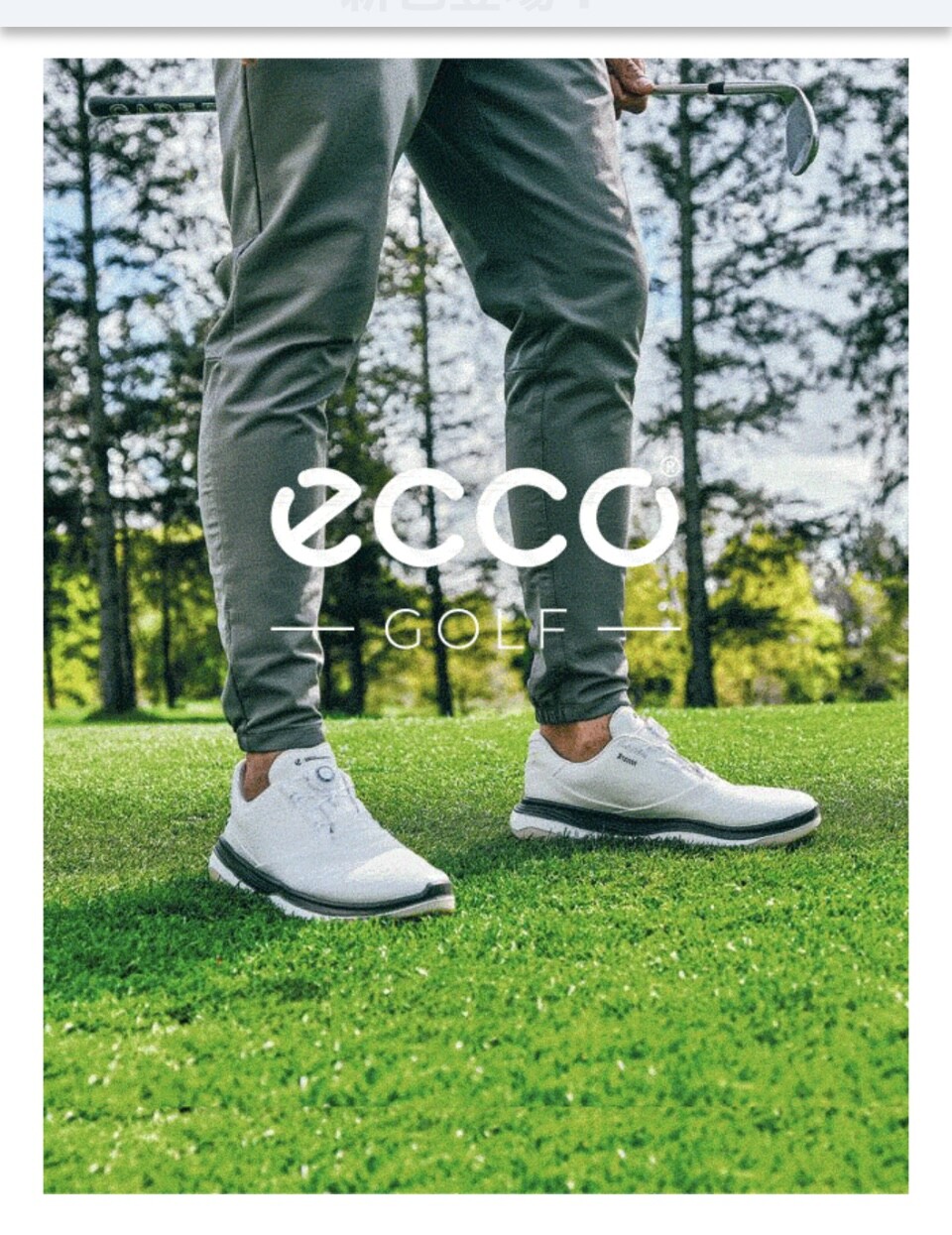 【 ECCO 】🏌️‍♂️メンズ新作ゴルフシューズ✨