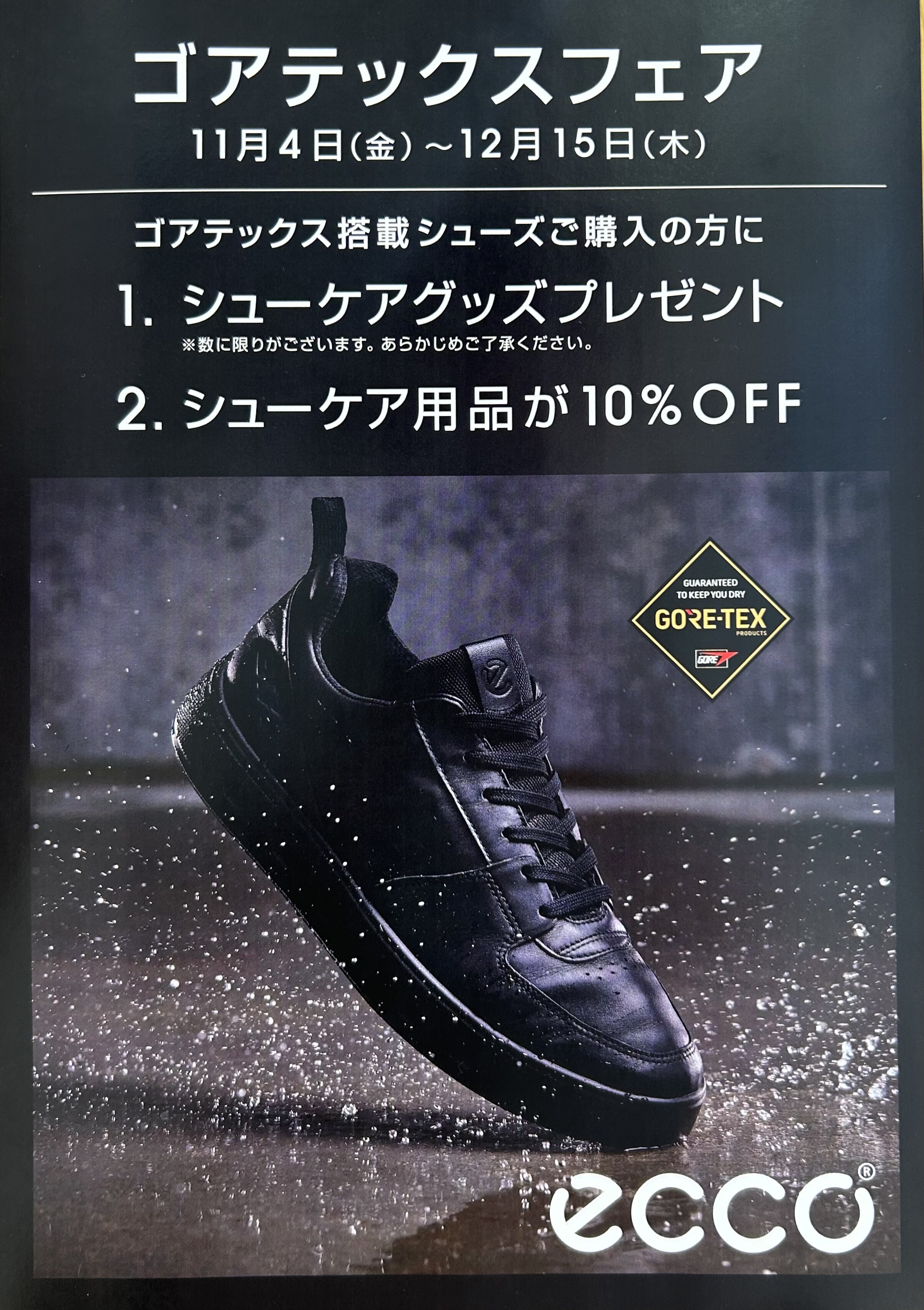 エコー　☔️ゴアテックスフェア👟