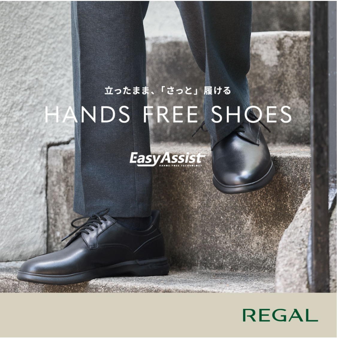 REGAL " Life Style Collection " 2026