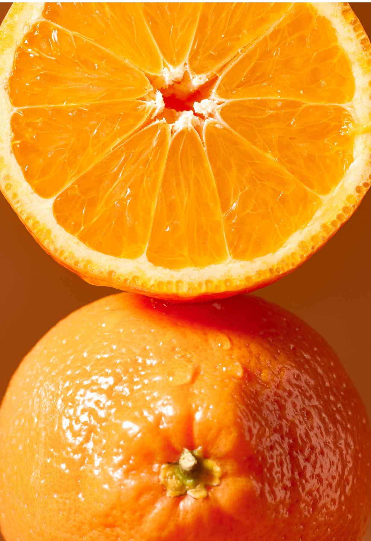 ヒロフ10%OFF新春優待&新作のご案内