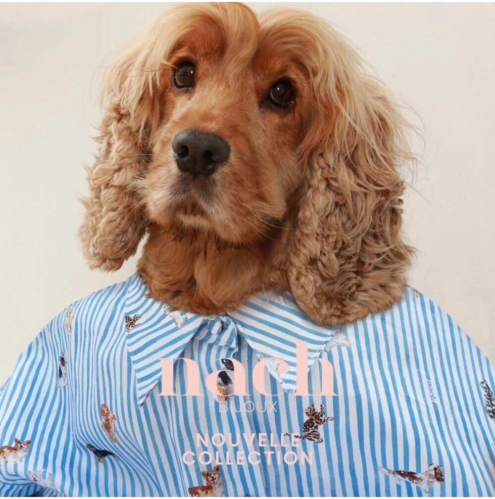 【アッシュ・ぺー・フランス】Nach 新作アクセサリーコレクション入荷