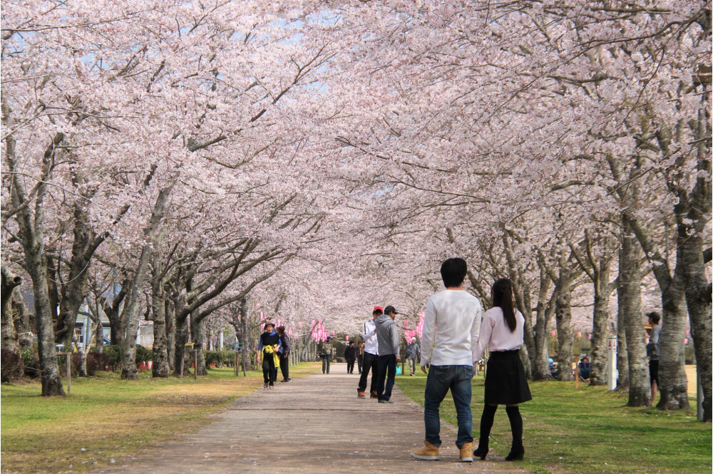 忠元公園