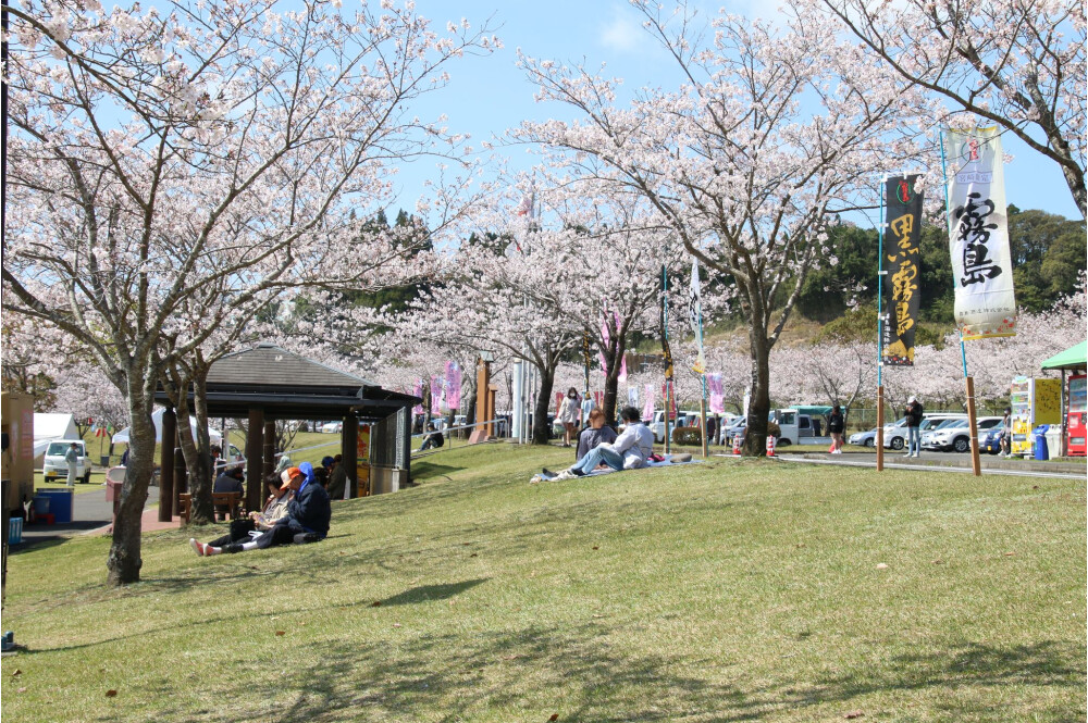 やごろうの里　桜まつり