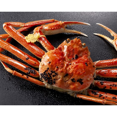 51【福井】越前かに職人　甲羅組