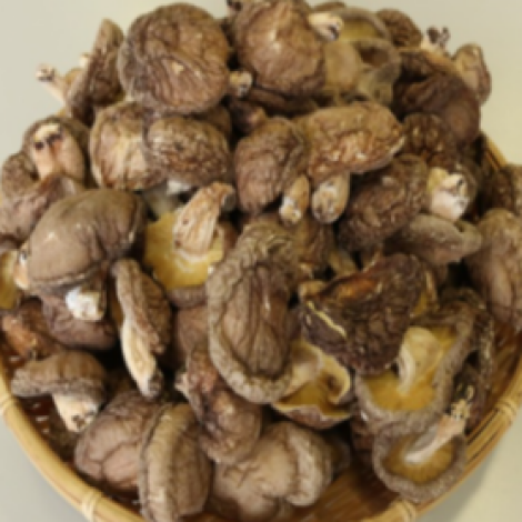 高千穂地区椎茸生産組合・原木椎茸詰め放題					 								