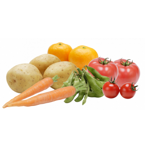 ◆九州産 根菜類の詰め放題◆