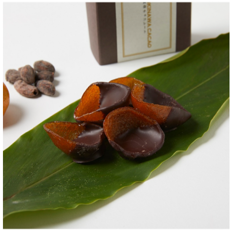 オキナワカカオ