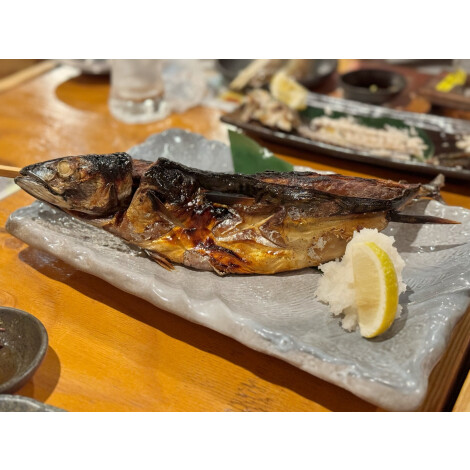 その他初登場【仙台漬魚】金華さばの開き干し