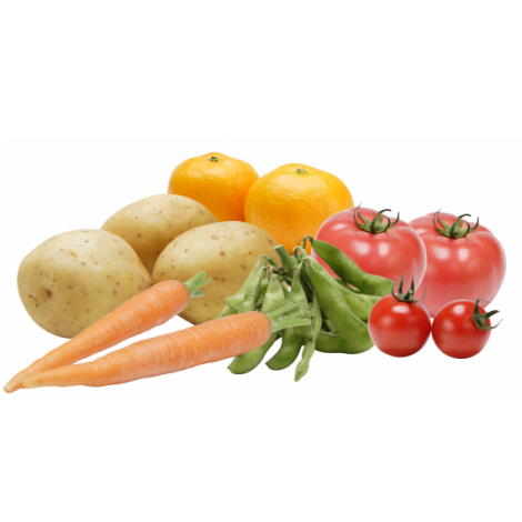 ◆長崎県 森山果樹園 おかわりみかん 詰め放題◆