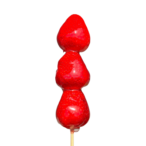 SEN's Berry Farm					