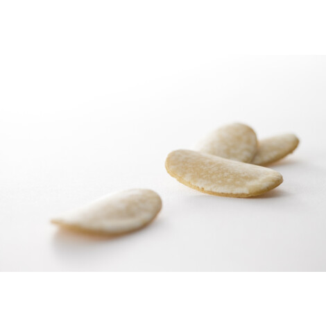 3-2【石川】柴舟小出