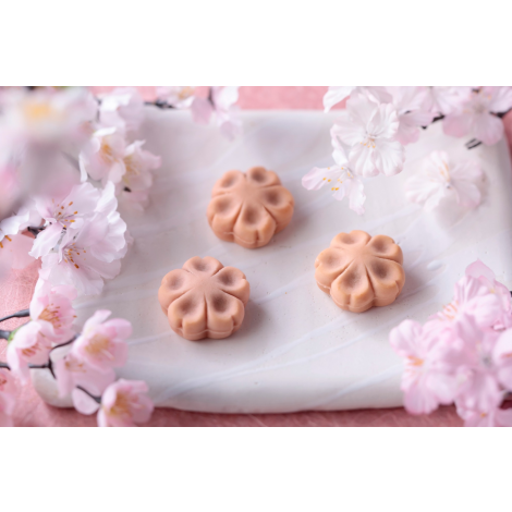 ⑲笹屋伊織（花見）