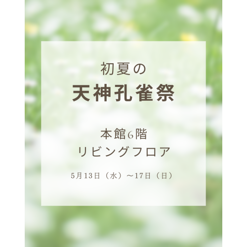 ꧁ 初夏の孔雀祭꧂本館6階 リビングフロア　商品情報！！