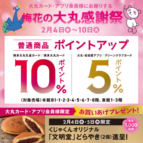 【大丸カード・アプリ会員様にお贈りする】梅花の大丸感謝祭