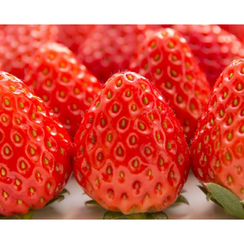 いちごのスイーツ祭り🍓🍓🧺😋