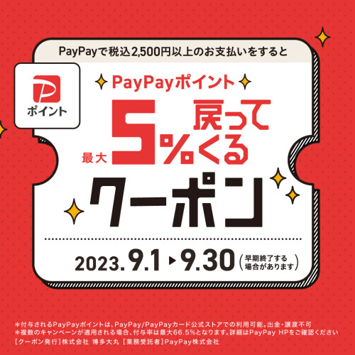 PayPayポイントキャンペーン