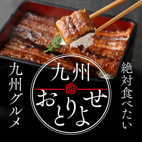 九州おとりよせWEBSHOPPING