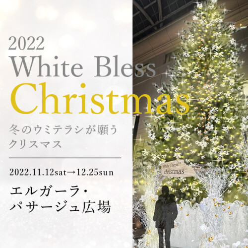 2022 White Bless Christmas